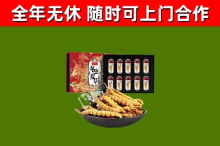 西固区烟酒回收冬虫夏草礼盒.jpg